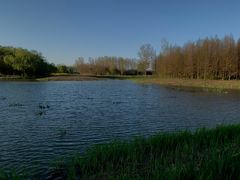 -溱湖国家湿地公园