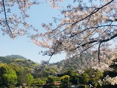 -白马涧龙池景区