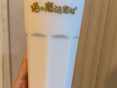 -猫的魔法密林(衣裳街店)