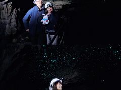 -怀托摩萤火虫洞