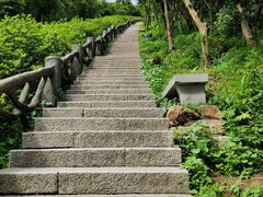 -梧桐山风景名胜区