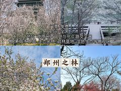 -郑州中国绿化博览园