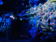 -青岛嘉年华主题乐园