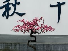 -成都杜甫草堂博物馆