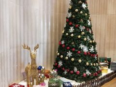 -国家会议中心大酒店