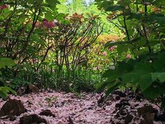 -洛阳市隋唐城遗址植物园