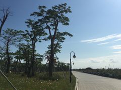 -芒洲湿地公园