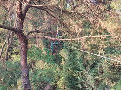 -芦仙山景区-飞越丛林探险乐园
