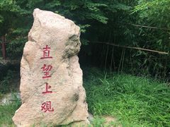-竹子庵公园