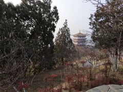 -象山森林公园