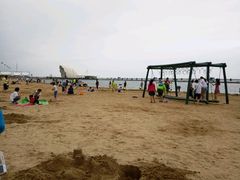 -碧海金沙
