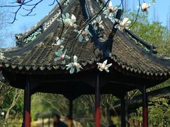 -上海醉白池公园