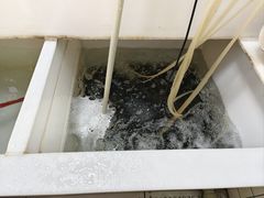 -小小河边鱼(天润城店)