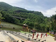 -西双版纳原始森林公园