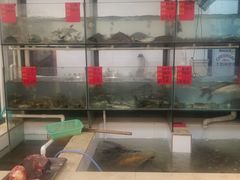 -小乡小镇·传承桐庐土菜·老板亲自烧的菜