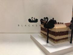 -BLACKSWAN黑天鹅(环球店)