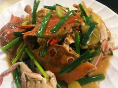-七鲜渔港美食餐厅(巽寮湾海景店)
