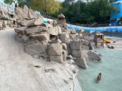 -青藏高原野生动物园