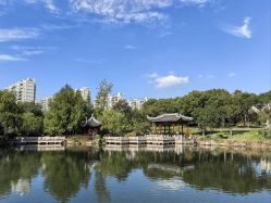 -上海外高桥喜来登酒店·宴会厅