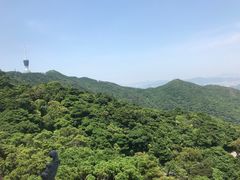 -梧桐山风景名胜区