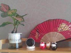 -JNK皮肤管理中心