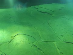 -白鹤梁水下博物馆