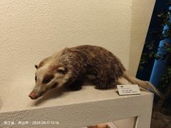 -舟山博物馆