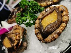 六头鲍鱼-捞围鲜·港式打边炉(海阳路店)