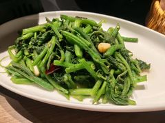 -滇铺子·云南特色菜·第九届野生菌美食节(曲靖万达店)
