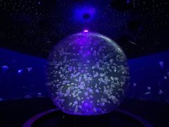 -江和美海洋公园