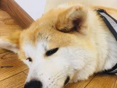 -YCHL Studios健身工作室(市二宫店)