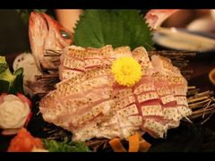 赤鯥魚刺身-矶野水产(澳门逸园中心店)