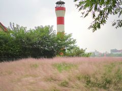-上海山野camping·户外天幕烧烤·团建拓展营地