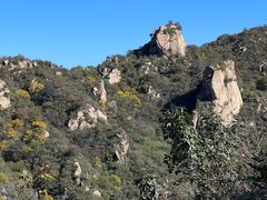 -大岭沟猕猴桃谷风景区
