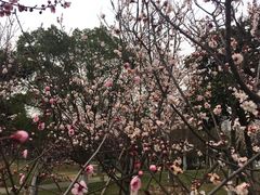 -堤角公园
