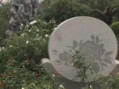 -人民公园(罗湖区)