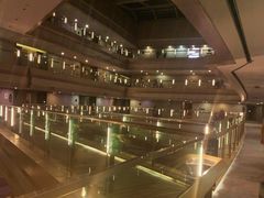 -南京禄口机场雅高铂尔曼大酒店