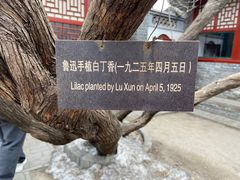 -北京鲁迅博物馆(北京新文化运动纪念馆鲁博馆区)