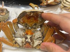 -半岛听涛蒸汽海鲜自助(K11店)