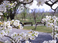 -汉长安城未央宫国家考古遗址公园