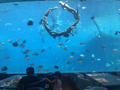 -瑞德姆美人鱼海底演艺主题餐厅(亚龙湾店)