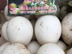 -姥家大锅台水库渔家