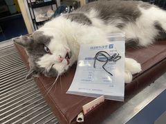 -爱诺耐芙动物医院(万博店)