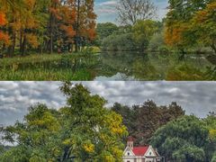 -上海共青森林公园