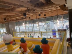 -反弹蹦床公园·运动乐园·团建·亲子派对(深圳观澜湖店)