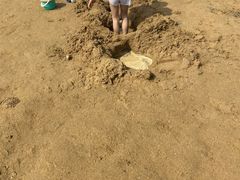-碧海金沙
