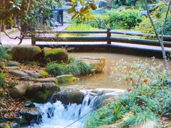 -中国茶叶博物馆(双峰馆区)