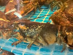 -蓝珊甄选海鲜自助·火锅大排档(近阿那亚店)