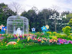 -上海共青森林公园