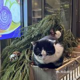 整活！成都到底还有什么美食惊喜是我不知道的